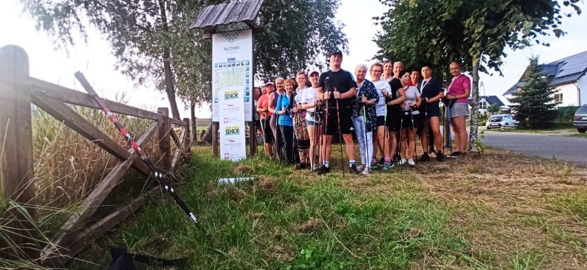 Drogołazy zakończyły projekt Nordic Walking Senior