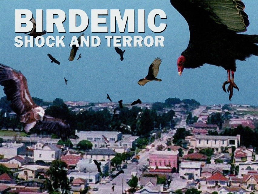 7. Ptakodemia (2010)

ocena: 1,8

opis fabuły: Agresywne i...