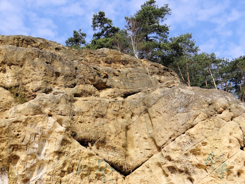 Skały piaskowcowe w okolicach Nagórzyc