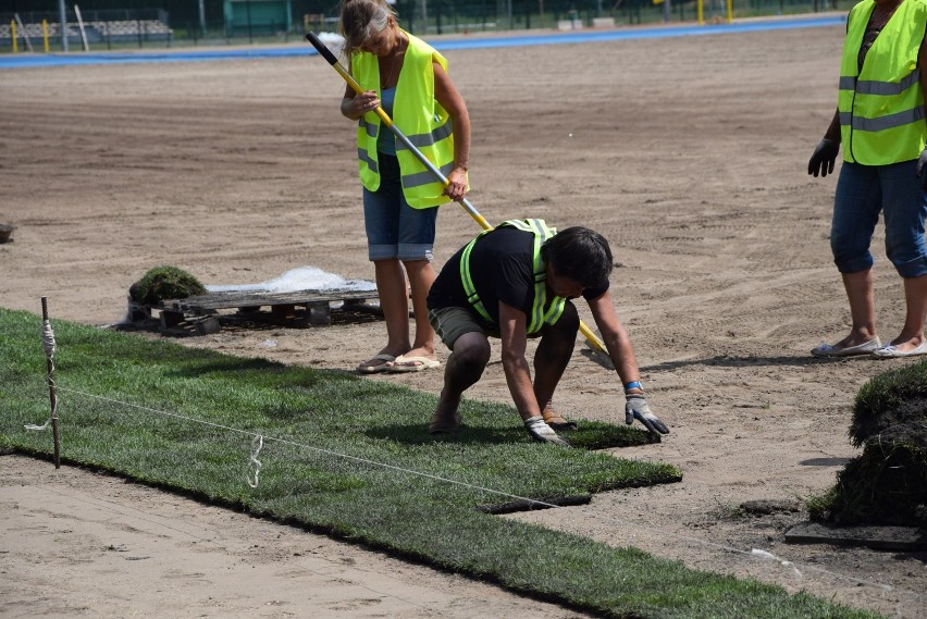 Na stadionie MOSiR kładą trawę