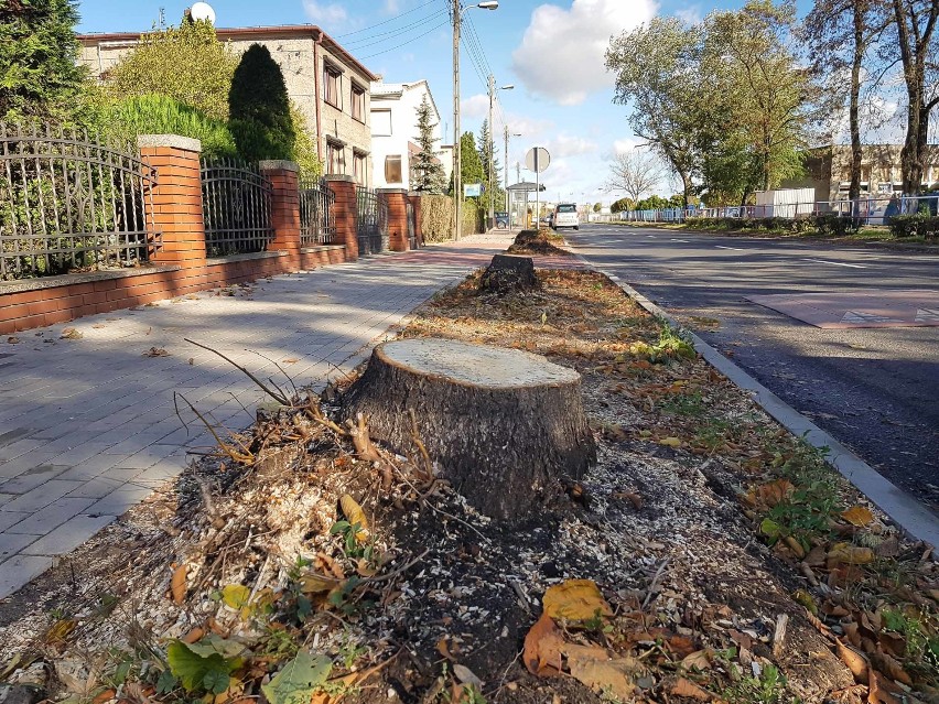 Na Szczepanowskiego wycięto 15 drzew. Przeszkadzały mieszkańcom