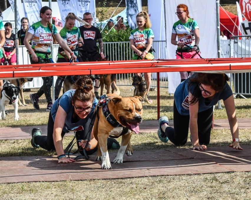 Zdjęcia z sobotniego biegu zamieszczamy w galerii