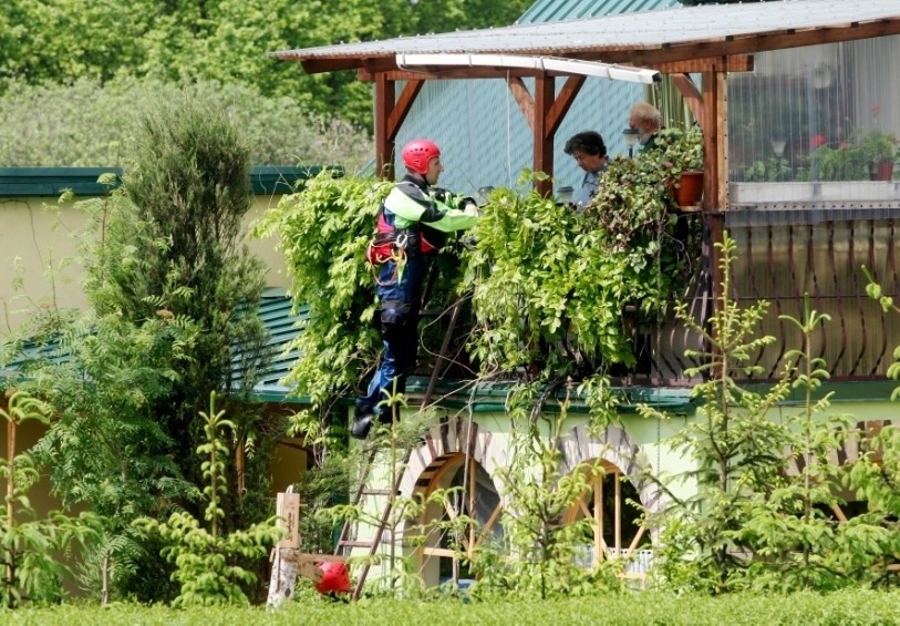 Ewakuacja Starego Otoku i fala kulminacyjna w Oławie (ZDJĘCIA)