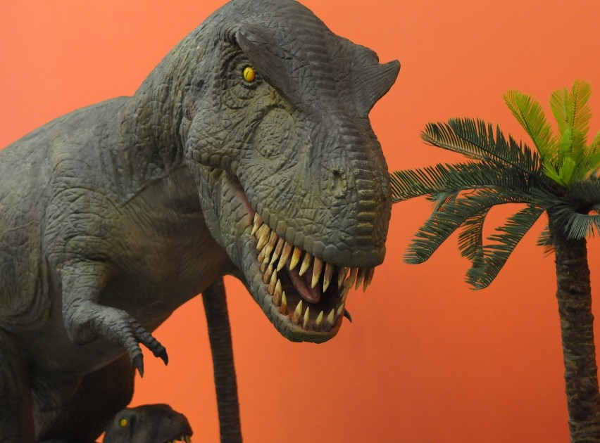 W Galerii Orkana straszą dinozaury... na wystawie (ZDJĘCIA)
