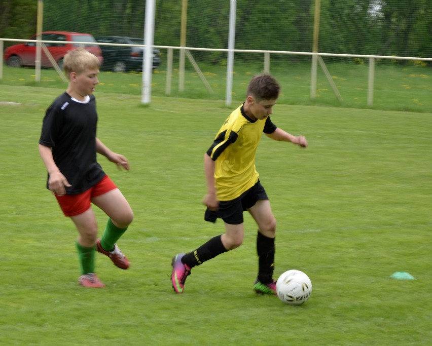 Liga Juniorów D1 - grupa Malbork III: Czarni Przemysław wygrali piąty mecz z rzędu
