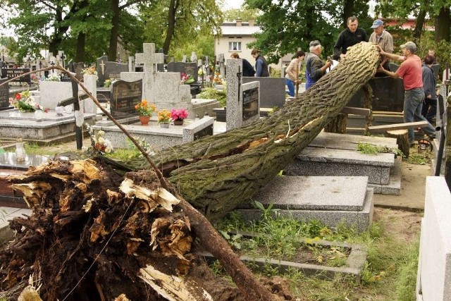 Gospodarstwo zrównane z ziemią, kilka zerwanych dachów, uszkodzone drogi, zerwane linie energetyczne. Tak wygląda krajobraz po nawałnicy, która w czwartek przeszła nad powiatem kaliskim.


Zobacz więcej: W powiecie kaliskim trwa szacowanie strat po czwartkowej nawałnicy. ZDJĘCIA