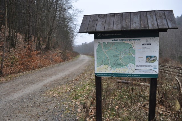 W ciągu najbliższych dwóch lat mają zostać naprawione łącznie 43 km szlaków turystycznych w Trójmiejskim Parku Krajobrazowym.