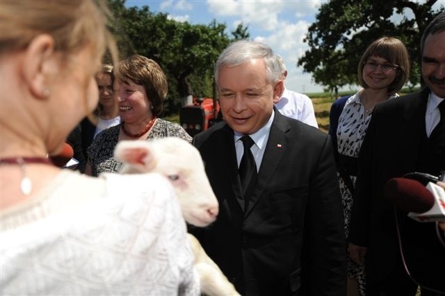 Kampania: Jarosław Kaczyński komentuje wyrok