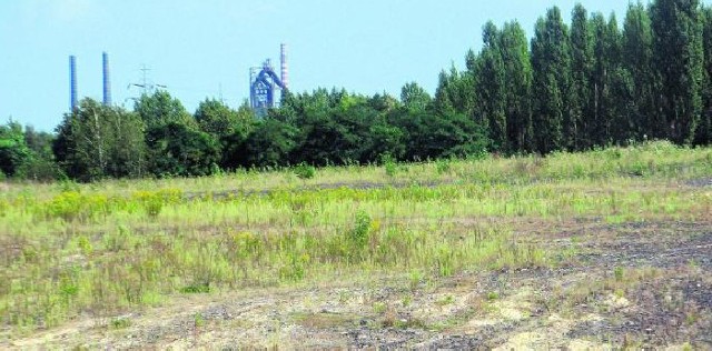 Pod koniec marca dowiemy się, czy na terenach po koksowni Wawel przy ul. Szyb Walenty powstanie spalarnia śmieci