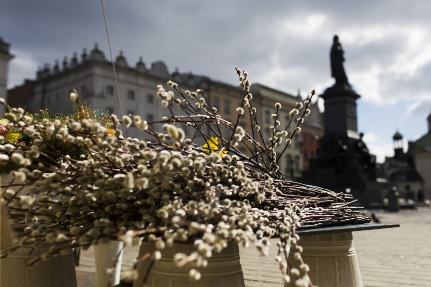 Pierwszy dzień kalendarzowej wiosny w Krakowie