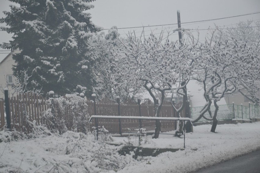Śnieg przykrył drzewa i ogrody w powiecie wodzisławskim. A na drogach? Zobaczcie! ZDJĘCIA