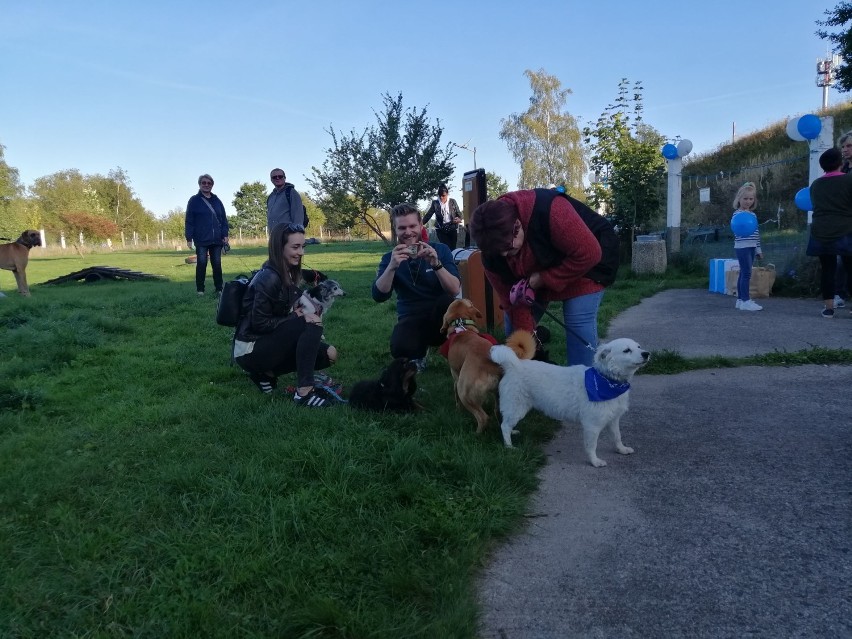 Kudłaty Piknik na wybiegu dla psów w Podczelu - zbierali na trzecią lampę