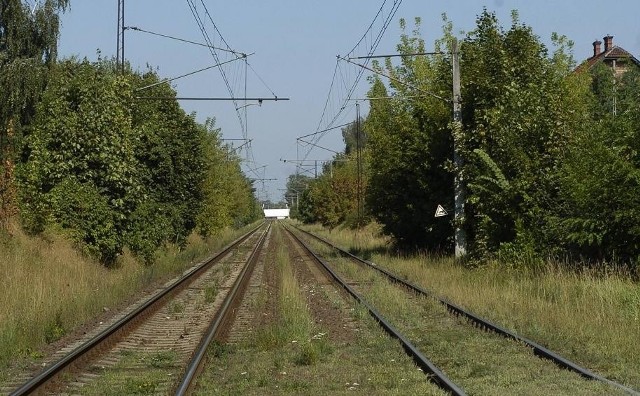 Pod pociąg w Kościanie wpadła kobieta z dzieckiem.