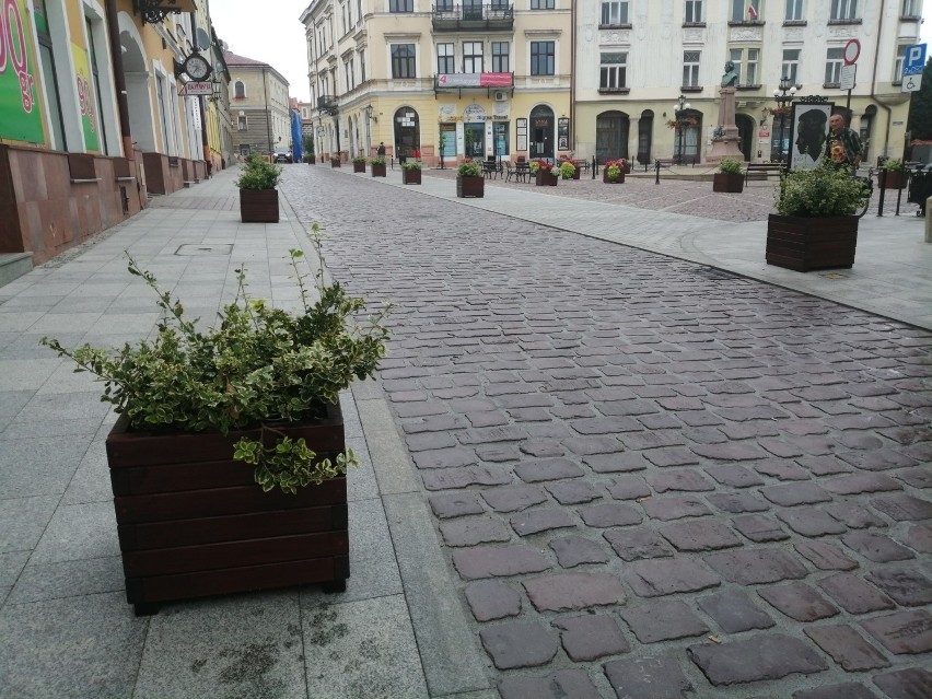 Tarnów. Z Katedralnej zniknęły zagrodzenia. To już koniec remontu na reprezentacyjnej ulicy w sercu miasta [ZDJĘCIA]