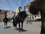 Wrocław: Parada koni w Rynku (ZDJĘCIA)