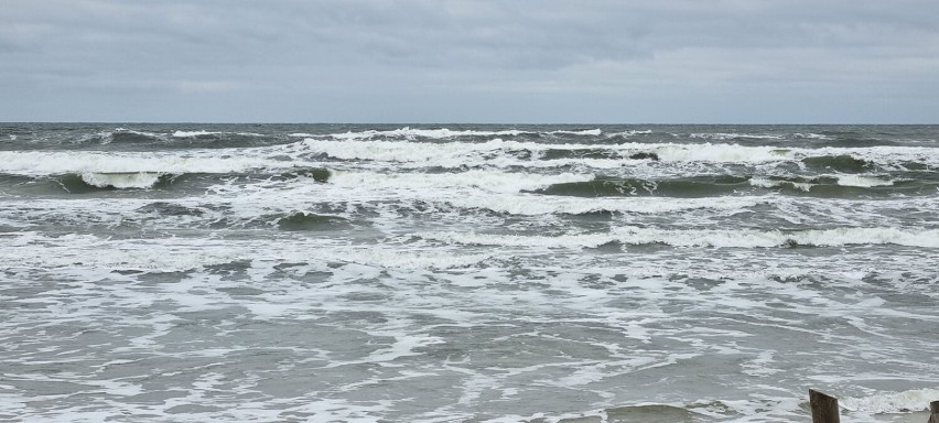 Wolne Morsy Dębki w Bałtyku. Morze rozkołysane sztormem, ale oni nie wystraszyli się wielkich fal | ZDJĘCIA