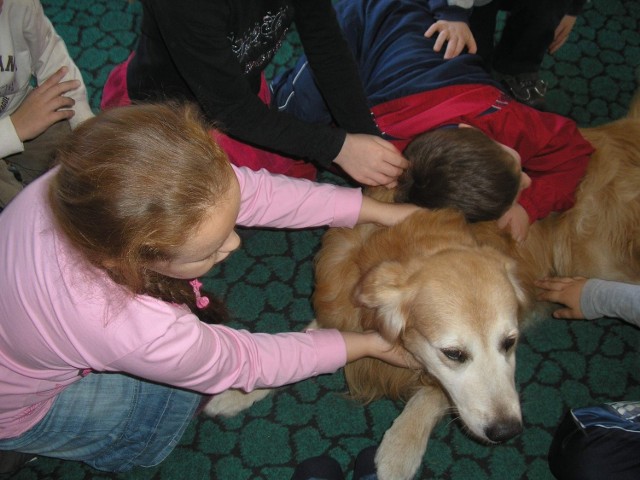 Golden retriever Argo jest największym pupilem dzieci.