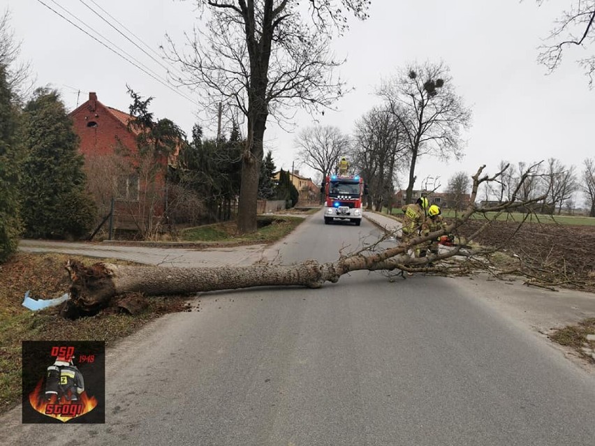 Wichura w powiecie malborskim. Bilans interwencji straży pożarnej w weekend 19-20 lutego