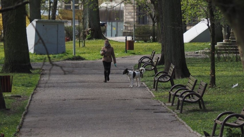 Parki i lasy otwarte. Spacerowiczów w Koszalinie nie brakuje [ZDJĘCIA]