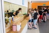 Owocowy szał, czyli kolorowe koktajle dla Wojtka. Uczniowie Szkoły Podstawowej nr 2 w Żarach pomagają choremu koledze 