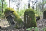 Niezwykła leśna ekspozycja w Chełmku. Betonowe schrony z czasów wojny przyciągają miłośników militariów i fortyfikacji. Zobaczcie zdjęcia