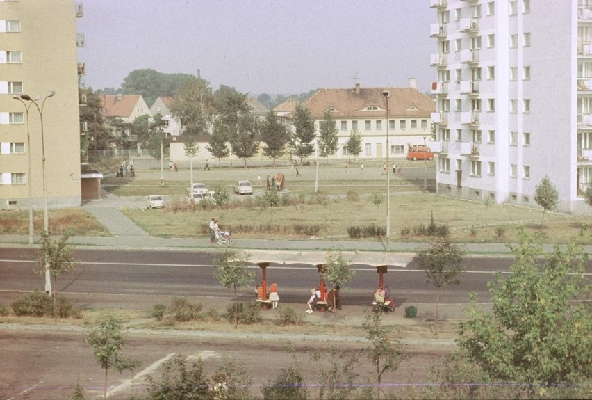 Unikatowe zdjęcia Piły z rodzinnego archiwum Kamila Kryszkiewicza i Mariusza Iwańskiego [ZDJĘCIA]