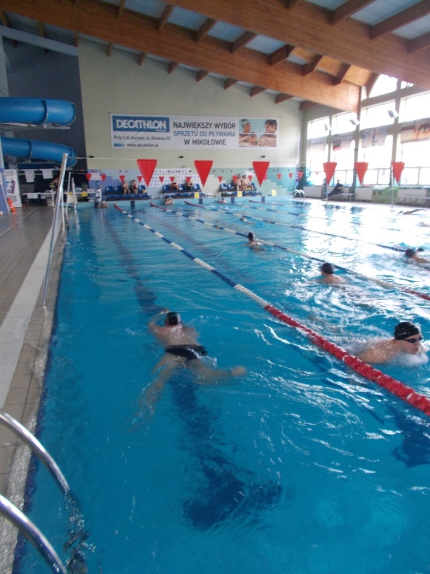 Mikołów: Maraton pływacki 2014 i Otyliada w pływalni Aqua Plant [FOTO]
