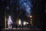 Romantyczne Łazienki Królewskie. Niezwykły spacer w blasku iluminacji świątecznej