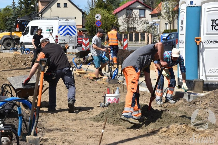 Sława: Przy nowym pasażu w centrum miasta posadzono już drzewka. To pięknie kwitnące ozdobne wiśnie