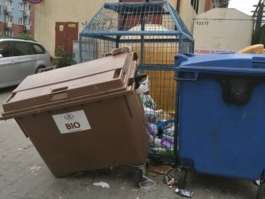 Segregacja śmieci to temat, który budzi żywe emocje