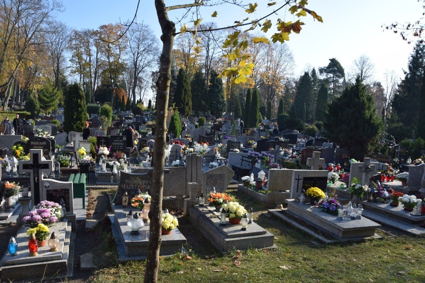 Szczecinecki cmentarz
