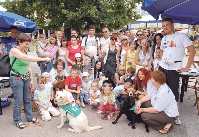 Psy z fundacji Dogtor wraz opiekunami odwiedziły naszą Letnią Redakcję w Sopocie