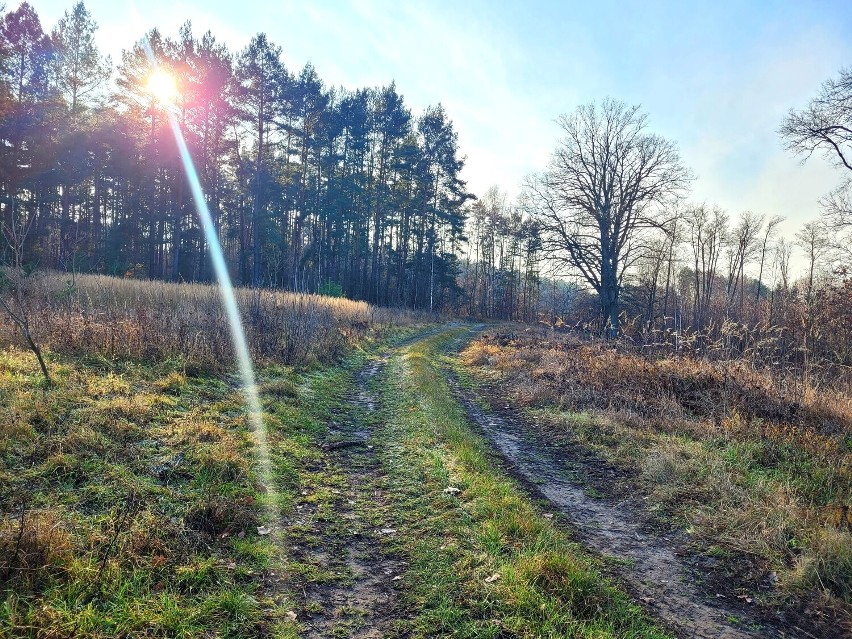 Płoty jesienią - w weekend to wymarzone miejsce na spacery