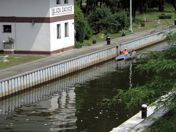 Wrocław: Brak tlenu w Odrze przyczyną śnięcia ryb (ZDJĘCIA)