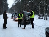 Policja i strażnicy leśni prowadzą przeciwdziałania nielegalnej wycince choinek