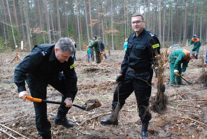Pucka policja i wójt Henryk Doering sadzili drzewka