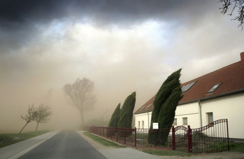 Zdjęcie pojedyncze - II miejsce w kategorii PRZYRODA...