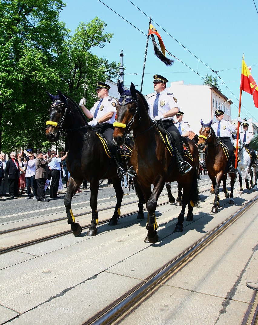 Parada służb mundurowych na Piotrkowskiej