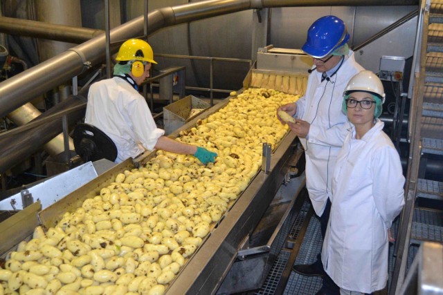 Farm Frites Poland. Zwiedzanie fabryki frytek w Lęborku