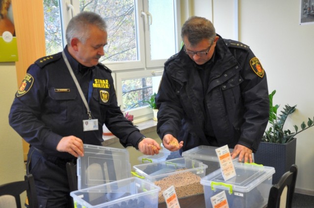 Straż miejska sprawdzi czym palimy w piecach i kominkach. Funkcjonariusze mają nowe uprawnienia