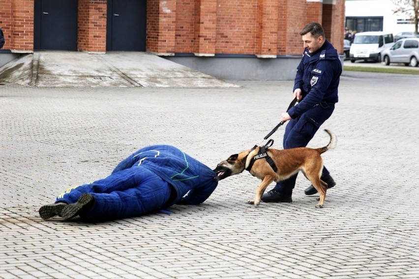 Policyjne psy z Podlasia rywalizowały w zawodach na Litwie. Mulka ze swoim przewodnikiem stanęła na podium [ZDJĘCIA]
