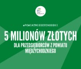 Pięć milionów złotych dla przedsiębiorców z powiatu międzychodzkiego w związku z COVID-19 [NEW]