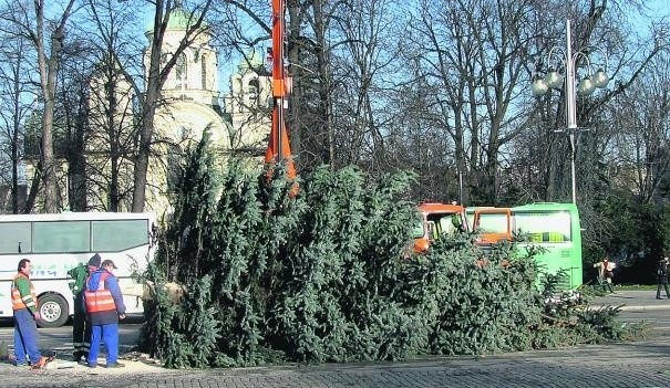 Operacja choinka na placu Biegańskiego