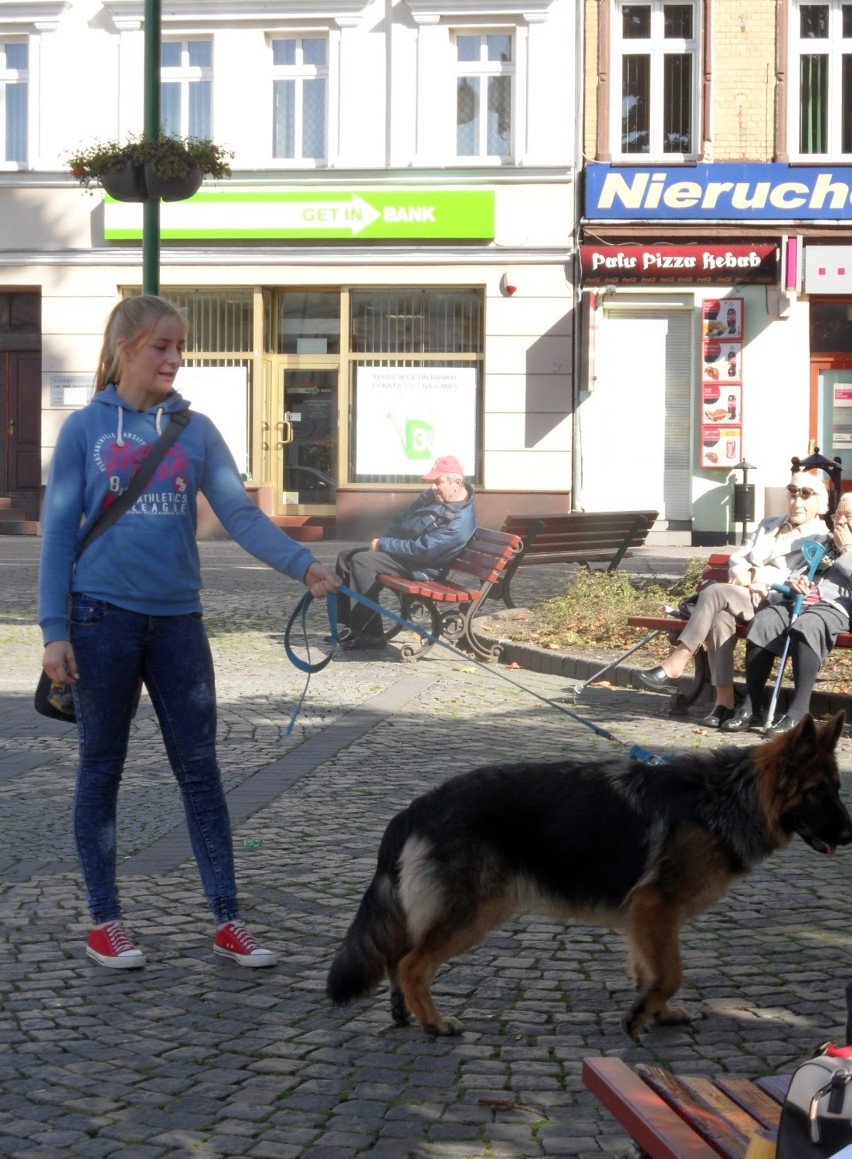 OTOZ Animals Lubliniec: Zerwijmy łańcuchy 2014