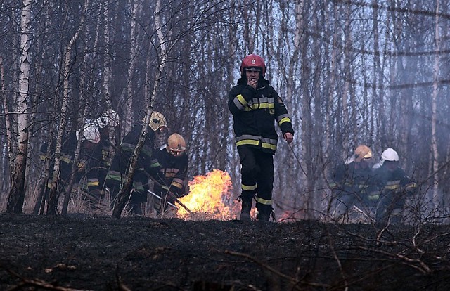 22 zastępy straży pożarnej gasiły płonące trawy przy Beskidzkiej w Łodzi. W weekend trawy w Łódzkiem płonęły kilkaset razy!