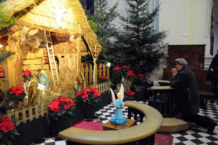 Boże Narodzenie 2012. Szopki w kościołach w Pabianicach.