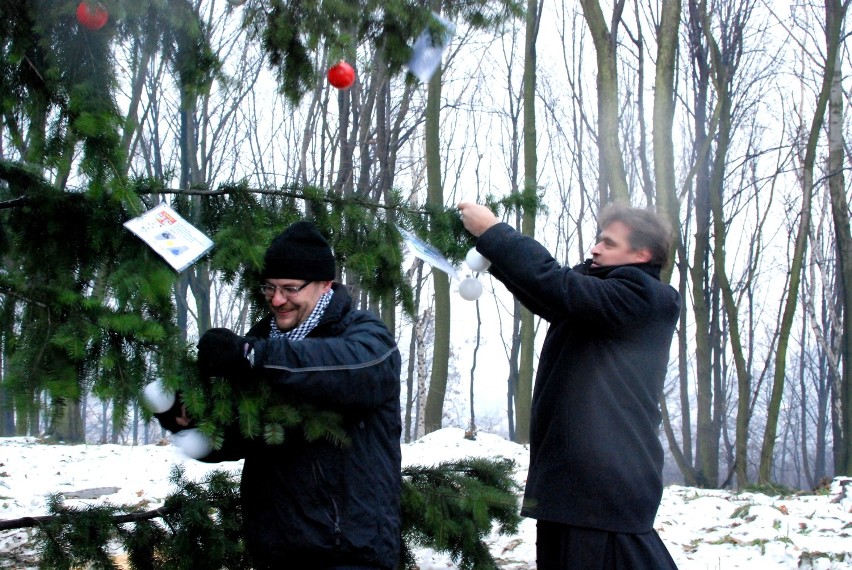 Będzin: Choinka na wzgórzu św. Doroty już ubrana [ZDJĘCIA]