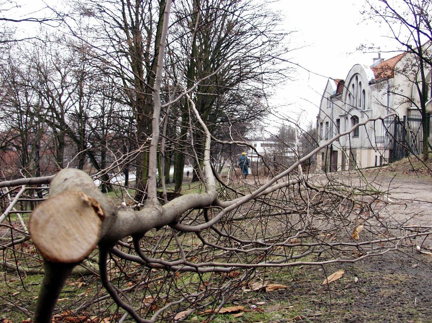 Wichura w powiecie słupskim. Minionej nocy silny wiatr łamał drzewa i zrywał linie energetyczne