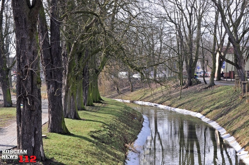 Mamy wiosenną pogodę. Zobaczcie Kościan po ataku zimy