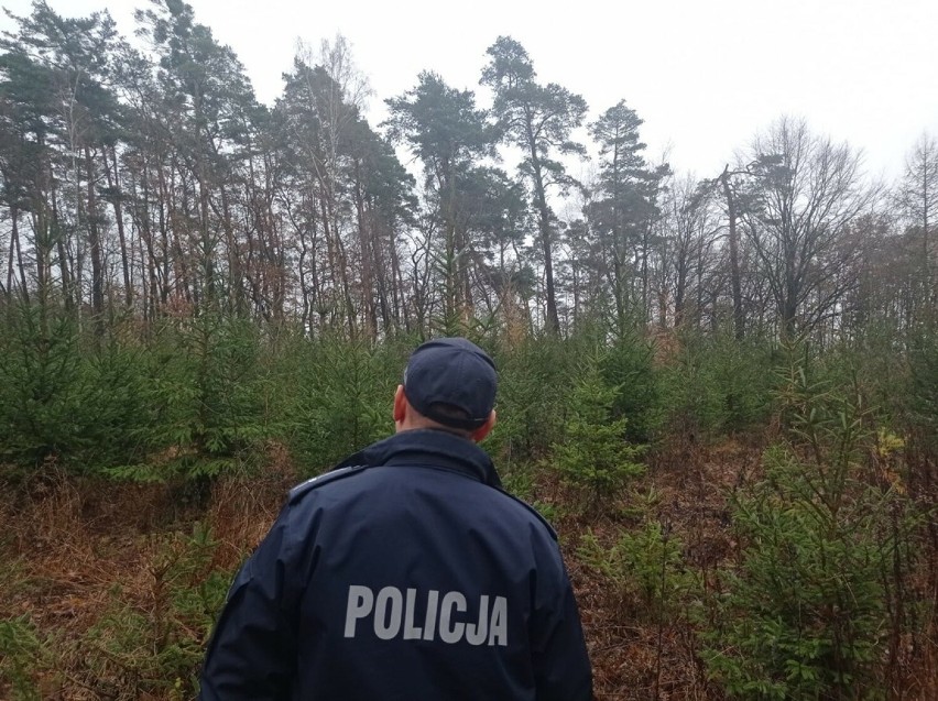 Policja z Włocławka, wraz ze strażą leśną, kontroluje...